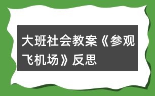 大班社會教案《參觀飛機(jī)場》反思