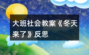 大班社會教案《冬天來了》反思