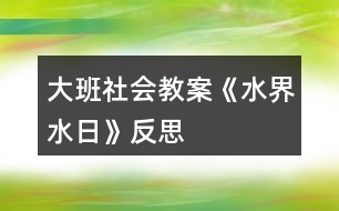 大班社會教案《水界水日》反思