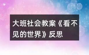 大班社會(huì)教案《看不見(jiàn)的世界》反思