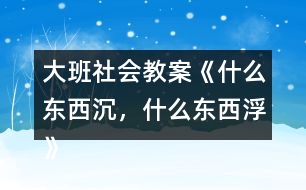 大班社會教案《什么東西沉，什么東西浮》反思