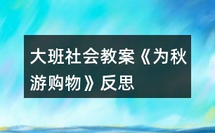 大班社會(huì)教案《為秋游購(gòu)物》反思