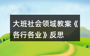 大班社會領域教案《各行各業(yè)》反思