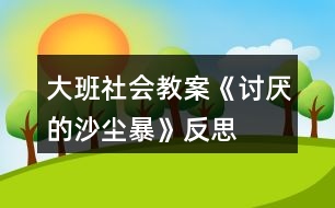 大班社會(huì)教案《討厭的沙塵暴》反思