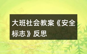 大班社會教案《安全標志》反思