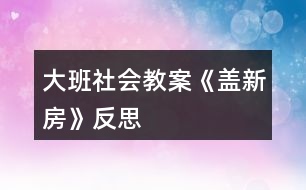 大班社會教案《蓋新房》反思