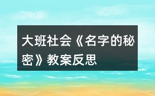 大班社會《名字的秘密》教案反思