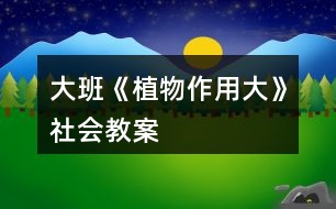 大班《植物作用大》社會教案