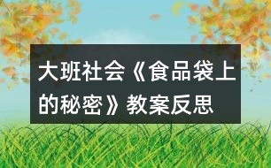 大班社會(huì)《食品袋上的秘密》教案反思