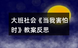 大班社會《當我害怕時》教案反思