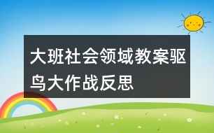 大班社會(huì)領(lǐng)域教案驅(qū)鳥(niǎo)大作戰(zhàn)反思