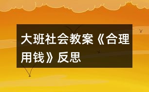 大班社會(huì)教案《合理用錢》反思