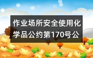 作業(yè)場所安全使用化學(xué)品公約（第170號(hào)公約）