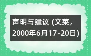 聲明與建議 (文萊，2000年6月17-20日)