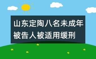 山東定陶：八名未成年被告人被適用緩刑