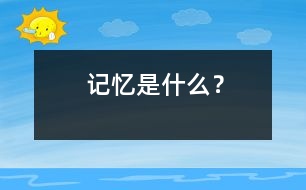 記憶是什么？