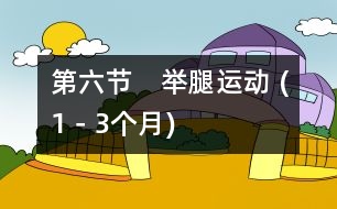 第六節(jié)　舉腿運(yùn)動(dòng) (1－3個(gè)月)