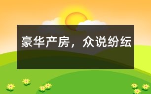 豪華產(chǎn)房，眾說紛紜