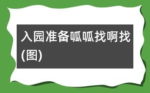 入園準備：呱呱找啊找(圖)