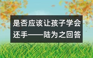 是否應(yīng)該讓孩子學(xué)會還手――陸為之回答