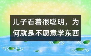 兒子看著很聰明，為何就是不愿意學(xué)東西