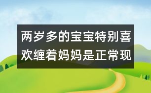 兩歲多的寶寶特別喜歡纏著媽媽是正?，F(xiàn)象