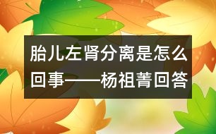 胎兒左腎分離是怎么回事――楊祖菁回答