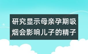 研究顯示母親孕期吸煙會(huì)影響兒子的精子數(shù)量