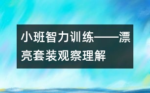 小班智力訓(xùn)練――漂亮套裝（觀察、理解、判斷、語(yǔ)言）