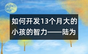 如何開(kāi)發(fā)13個(gè)月大的小孩的智力――陸為之回答