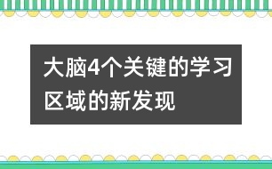 大腦4個(gè)關(guān)鍵的學(xué)習(xí)區(qū)域的新發(fā)現(xiàn)