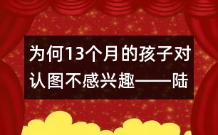 為何13個月的孩子對認(rèn)圖不感興趣――陸為之回答