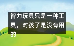 智力玩具只是一種工具，對孩子是沒有用的――王文革回答