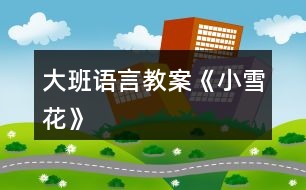 大班語(yǔ)言教案《小雪花》