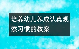 培養(yǎng)幼兒養(yǎng)成認(rèn)真觀察習(xí)慣的教案