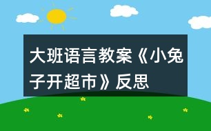 大班語(yǔ)言教案《小兔子開(kāi)超市》反思