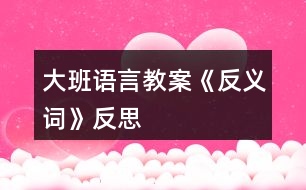 大班語(yǔ)言教案《反義詞》反思