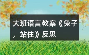 大班語言教案《兔子，站住》反思