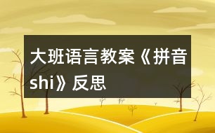 大班語(yǔ)言教案《拼音shi》反思