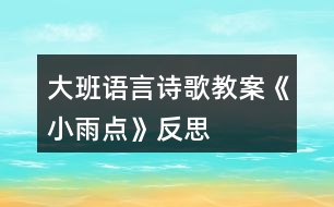 大班語(yǔ)言詩(shī)歌教案《小雨點(diǎn)》反思