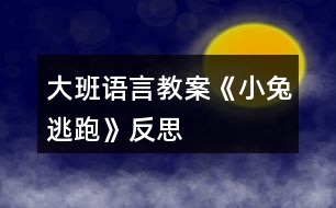 大班語言教案《小兔逃跑》反思