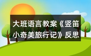 大班語言教案《豎笛小奇美旅行記》反思