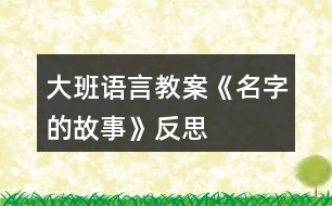 大班語言教案《名字的故事》反思