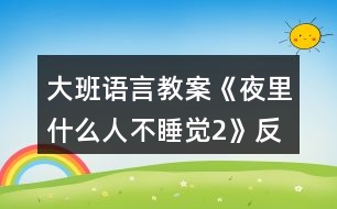 大班語(yǔ)言教案《夜里什么人不睡覺(jué)（2）》反思