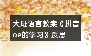 大班語言教案《拼音o、e的學習》反思