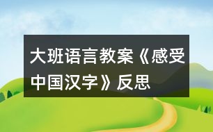 大班語(yǔ)言教案《感受中國(guó)漢字》反思