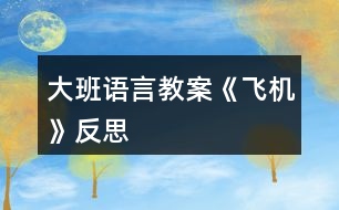 大班語言教案《飛機(jī)》反思