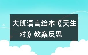 大班語言繪本《天生一對》教案反思