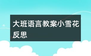 大班語(yǔ)言教案小雪花反思