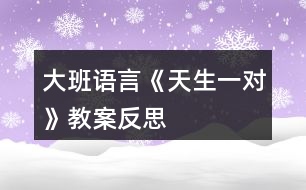 大班語言《天生一對(duì)》教案反思